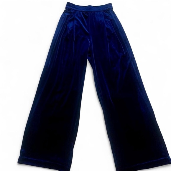 Roucha Vaga pants royal blue velvet wide leg  AA size small pull on pleat front - Picture 5 of 11